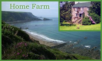 Home Farm Welcombe Nr Hartland