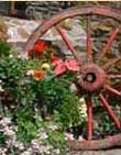  holiday cottages